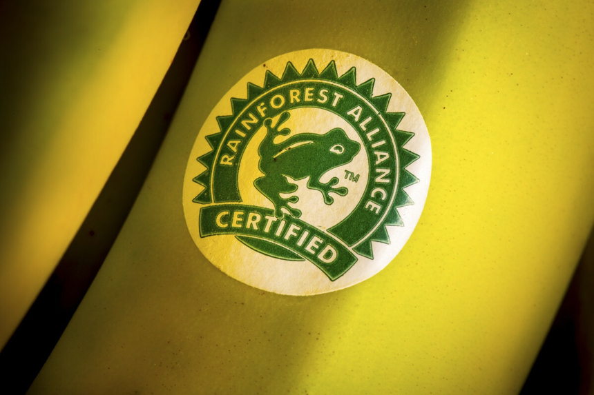 Co oznacza logo żaby na produktach? Symbol budzi kontrowersje ...