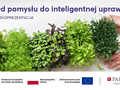 Od pomysłu do inteligentnej uprawy