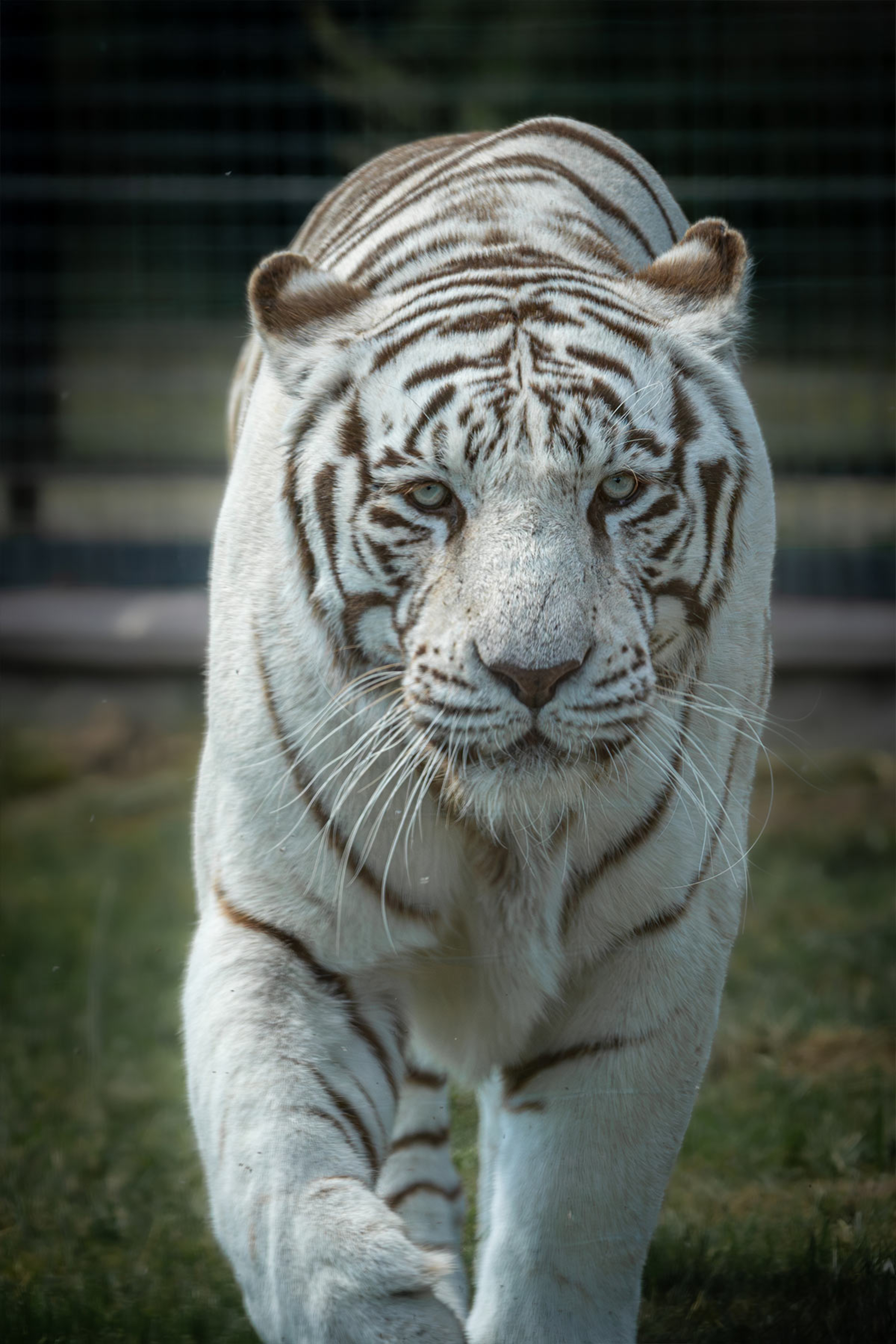 2023-07-22-zooBorysew-17