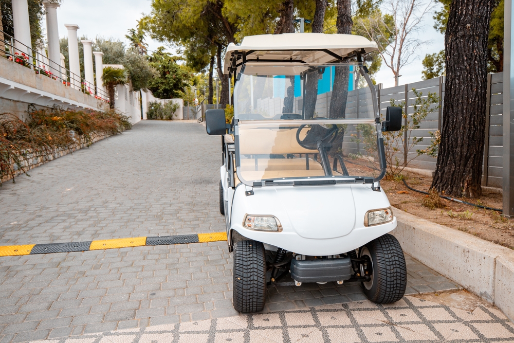 Buggy/Shutterstock