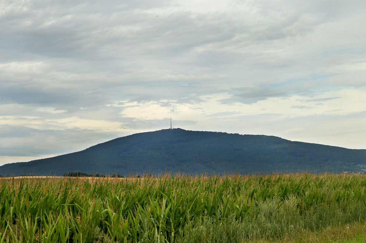 EN_01637160_0406