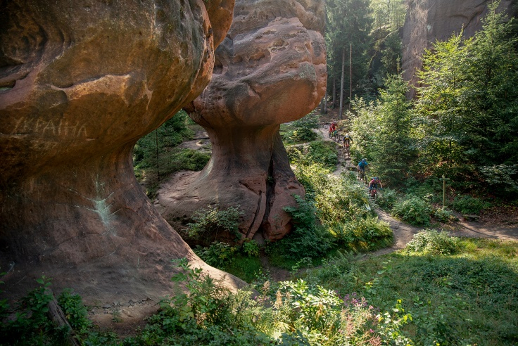 Góry Żytawskie (c)TMGS_Philipp Ruopp_