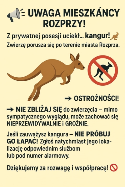 Komunikat miasta