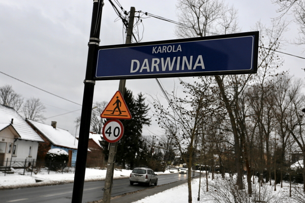 Pani Ewa mieszkała przy ul. Darwina
