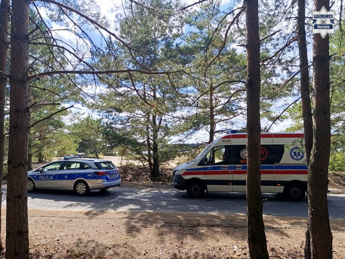 Policja 