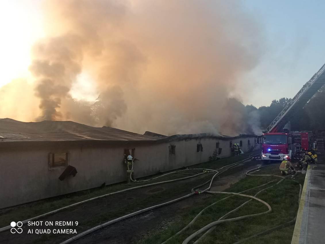 pożar kurnika