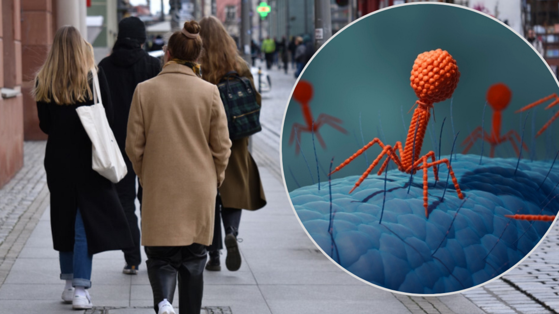 Przez Te Bakterie Mo e Umrze 10 Milion w Ludzi Rocznie Epidemiolodzy przez-te-bakterie-mo-e-umrze-10-milion-w-ludzi-rocznie-epidemiolodzy