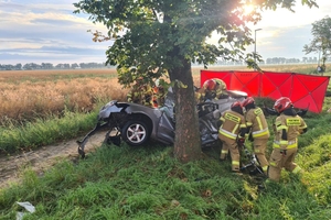 Wypadek Grodzisk Wielkopolski