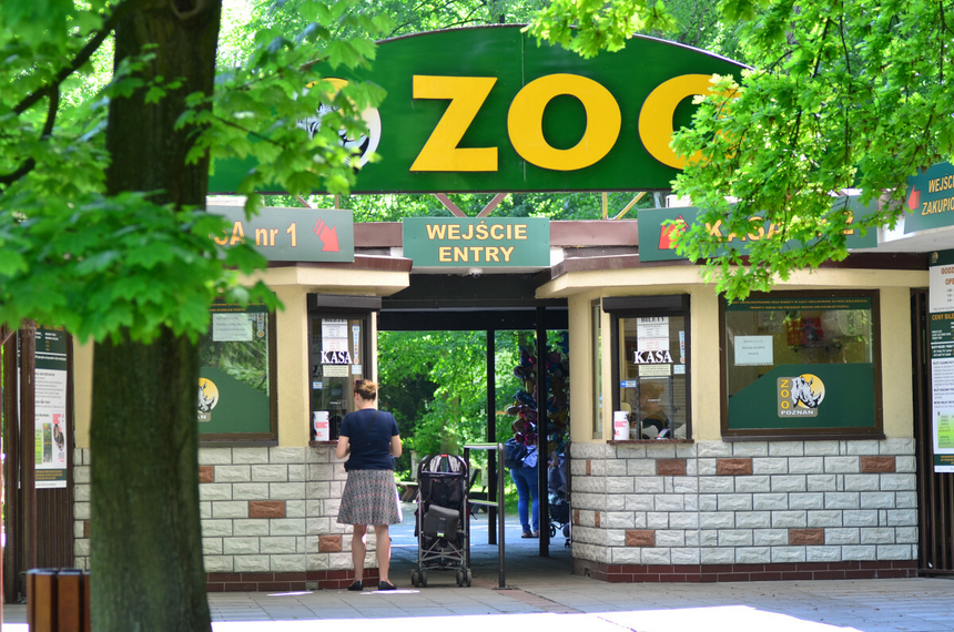 by-a-godzina-19-00-pracownicy-zoo-w-poznaniu-opublikowali-to-w-sieci