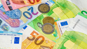 Euro