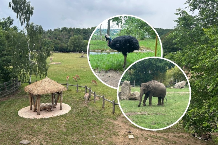 Zoo Praga
