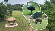 Zoo Praga