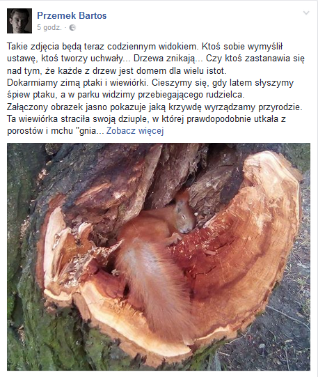 Bez tytułu