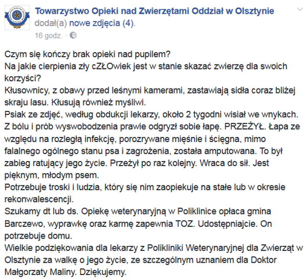 Przechwytywanie