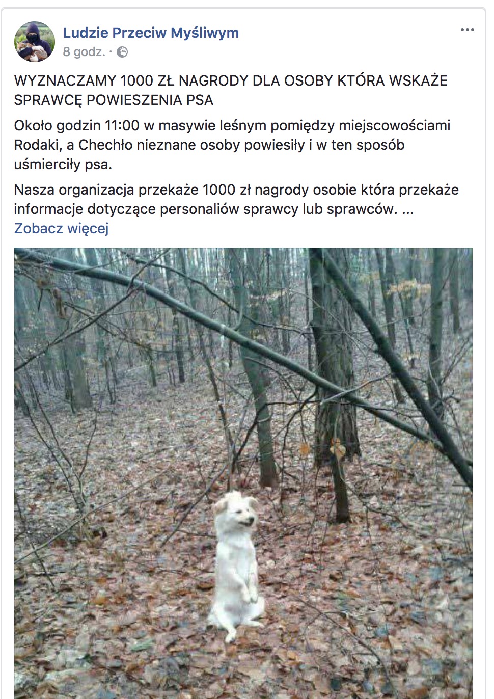 Zrzut ekranu 2018-01-13 o 01.37.01