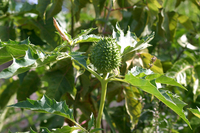 EN_00906722_6243
