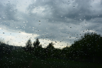 EN_01431778_0005