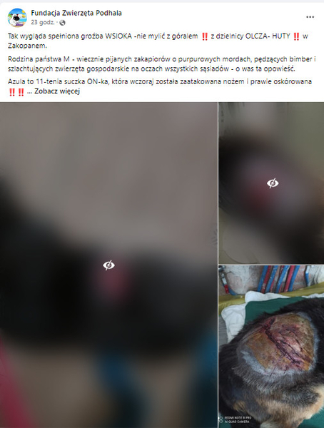 fundacja alert