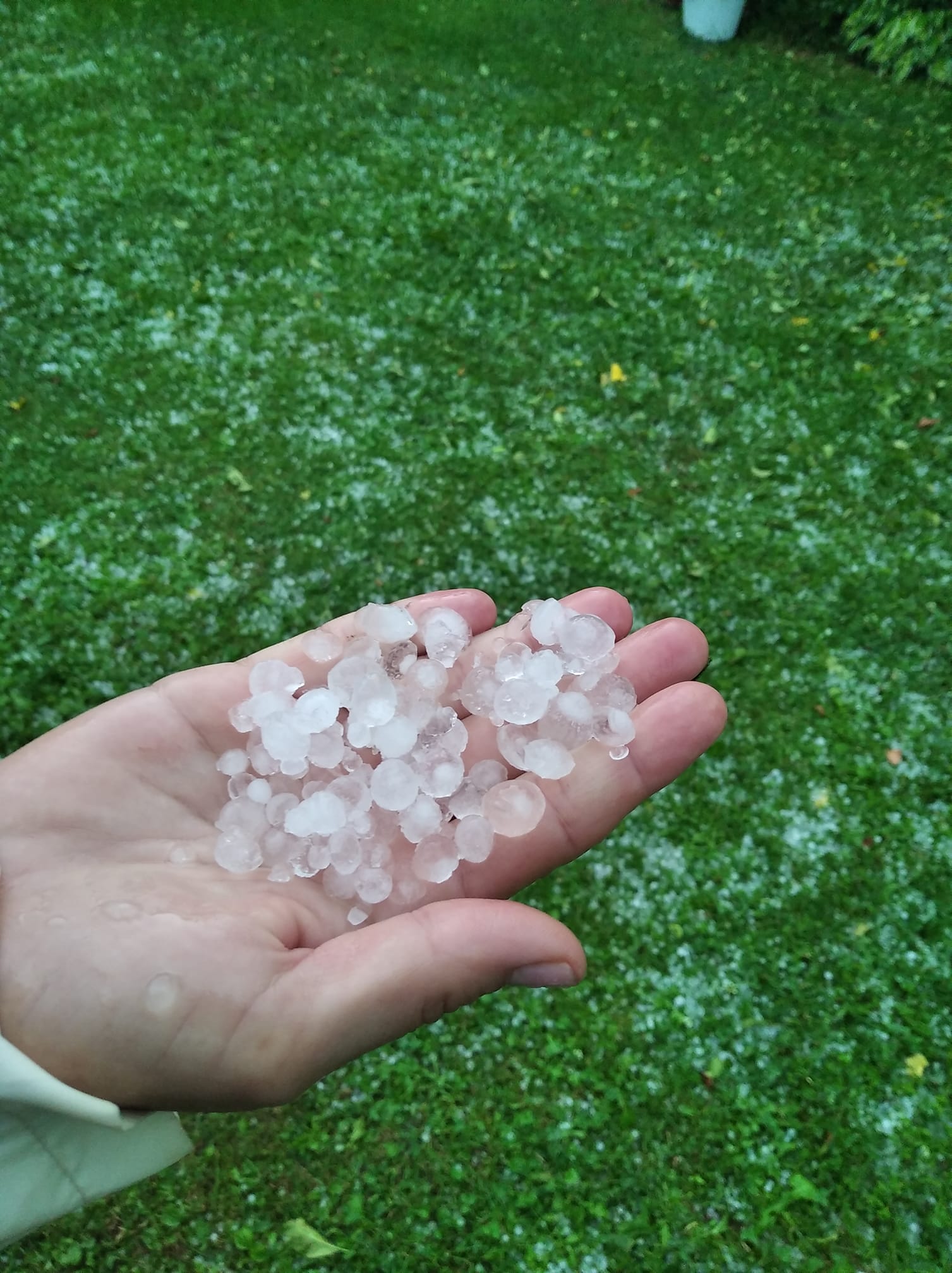 gradobicie Krosno