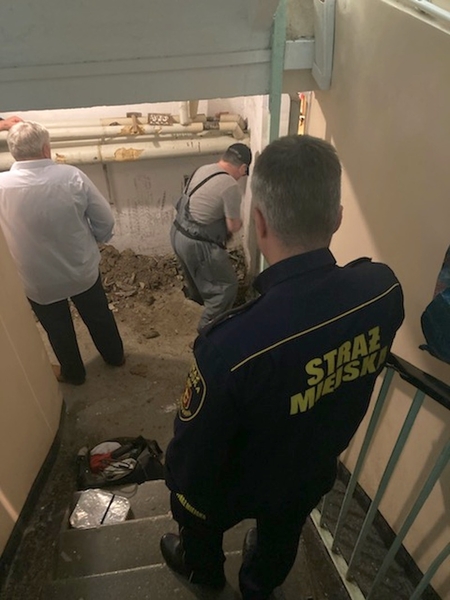 Kot był uwięziony w rurze. Akcja ratunkowa trwała dwa dni.