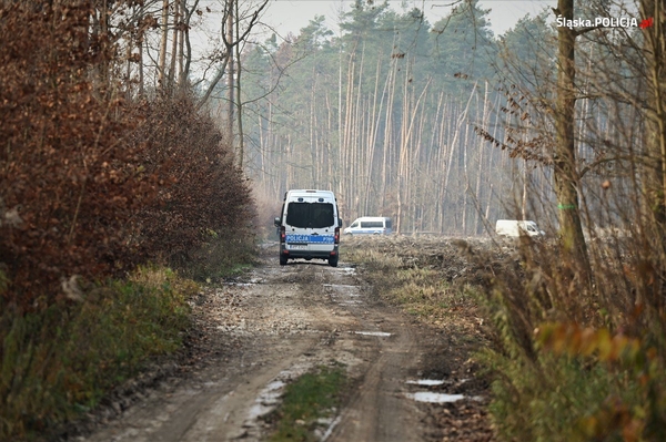 Przeszukanie lasu w Borowcach